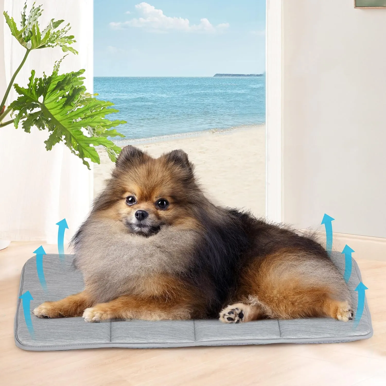 Chicute Dog Cooling Mat for Cats - 24x18 Orthopedic Memory Foam Pet Pad for Summer, QMAX>0.5, Washable Premium Comfort Crate Pad for Your Furry Companion, Grey
