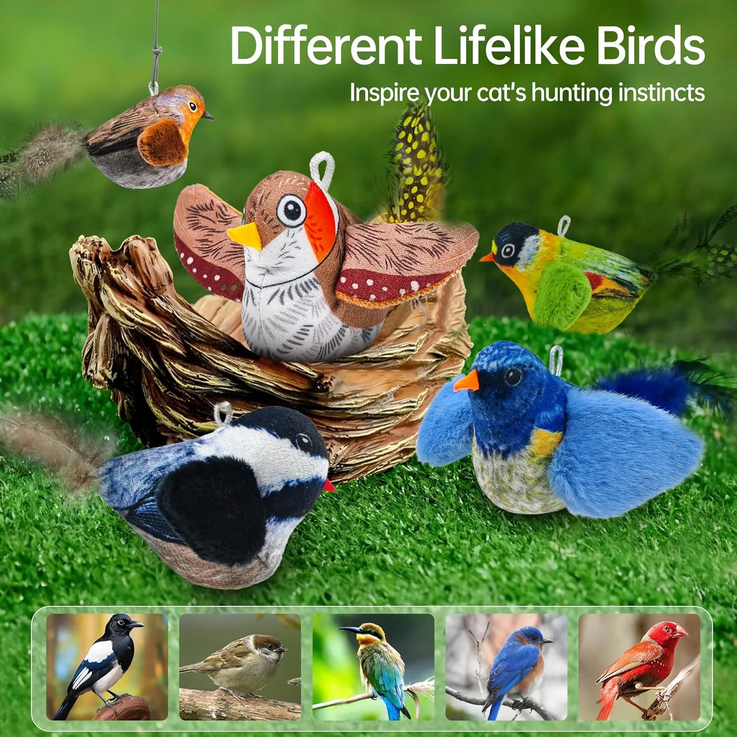 Chirping Bird Cat Toys Hanging Cat Feather Toy - Catnip Interactive Cat Toys for Indoor Cats - Automatic Cat Toy for Cat Exercise & Kicker to Self Play (Green)