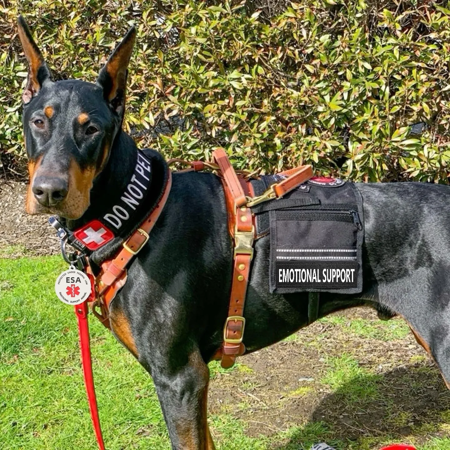 Emotional Support Dog Patches 2 pcs, ESA ID Tag Easily Attach to Dog Collar, Harness (XSmall)