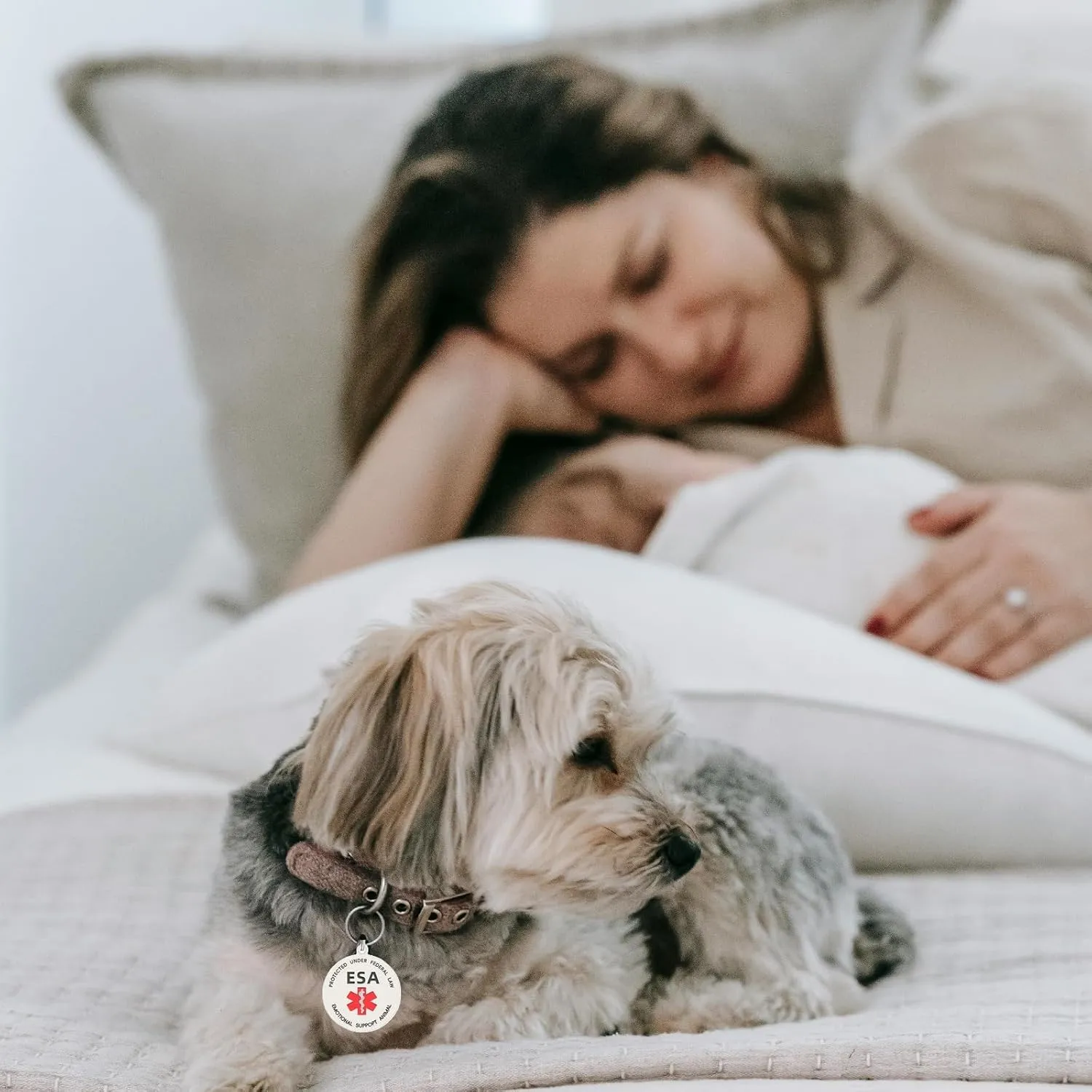 Emotional Support Dog Patches 2 pcs, ESA ID Tag Easily Attach to Dog Collar, Harness (XSmall)