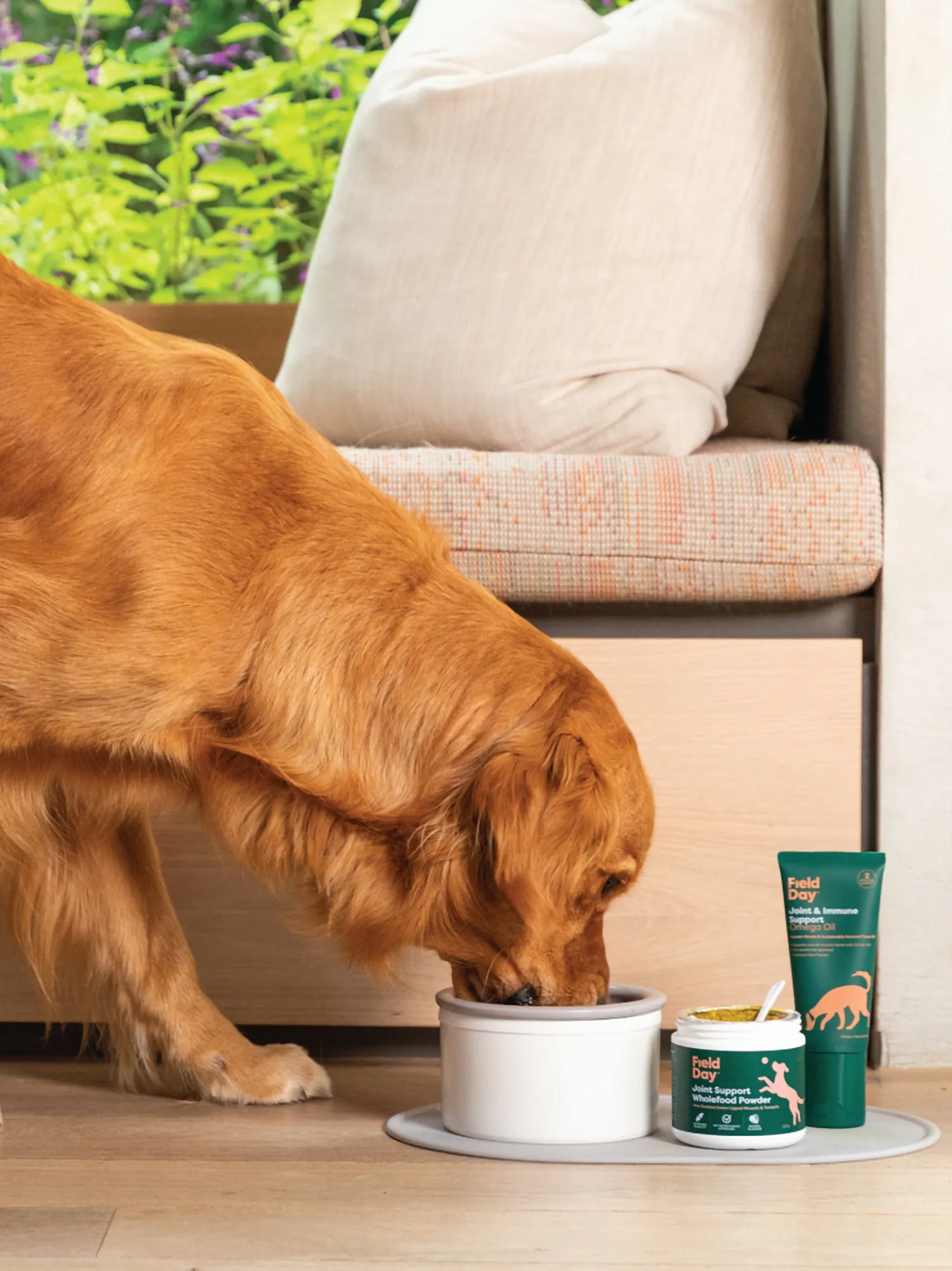 Field Day Dog Joint Support Wholefood Powder 220g