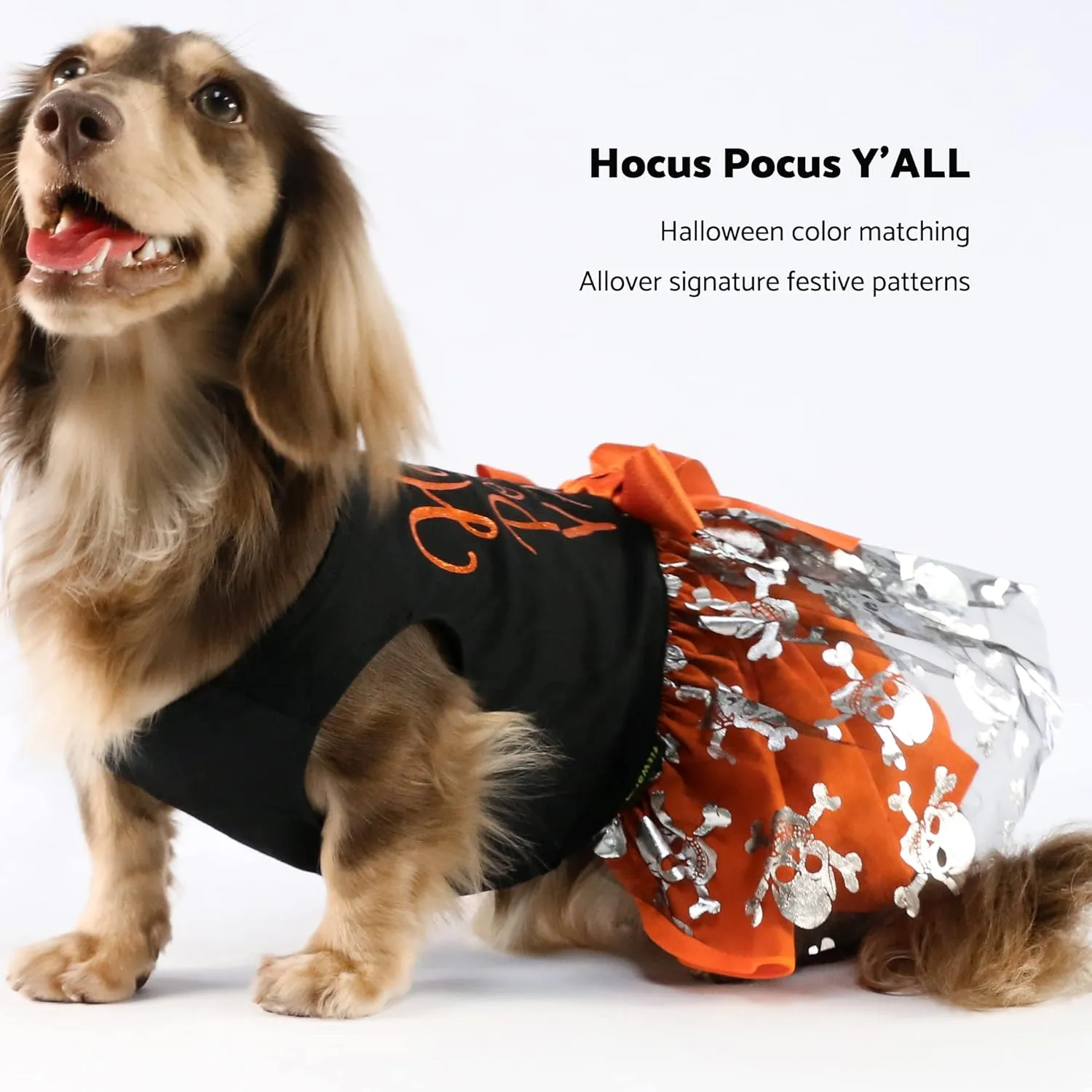 Fitwarm Hocus Pocus Y'all Funny Dog Halloween Tulle Dress, Holiday Dog Clothes for Small Dogs Girl, Funny Pirate Skull Pet Costume, Witch Cat Outfit, Orange, Black, Medium