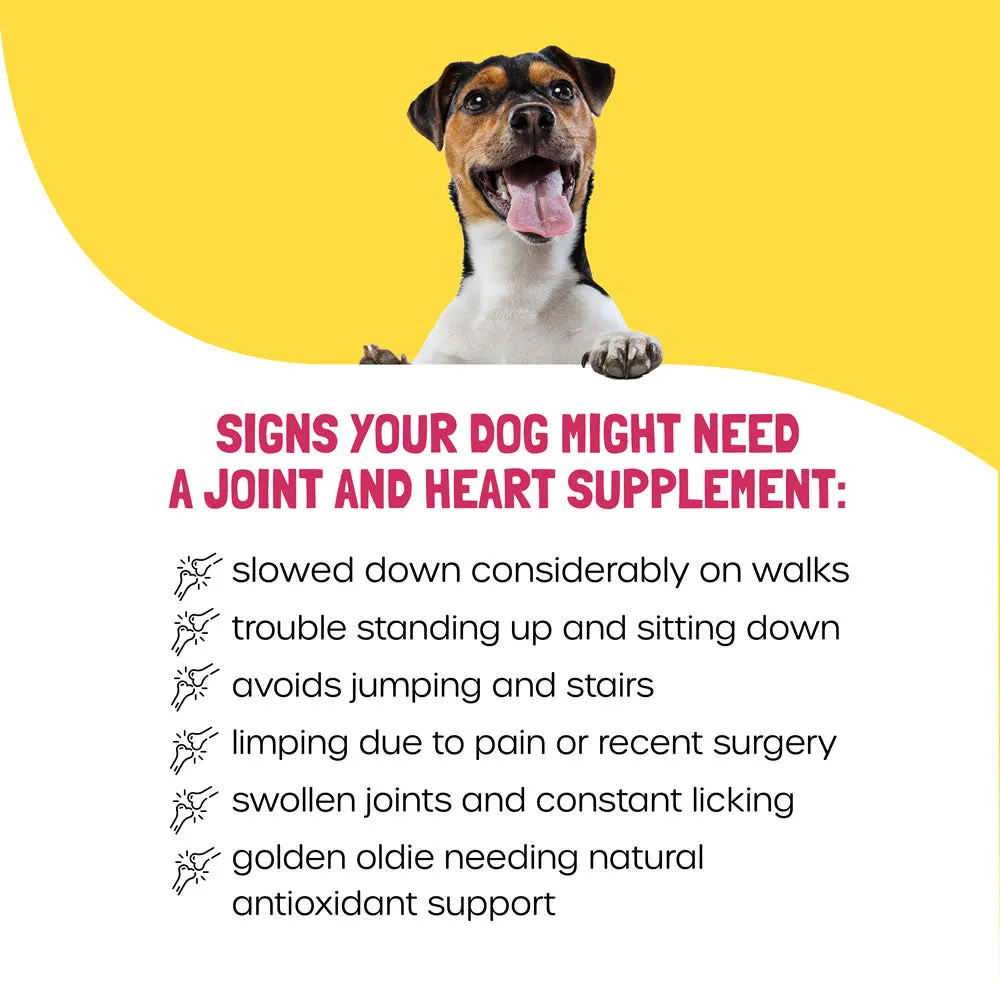 GOLD DUST Dog Joint and Heart Supplement