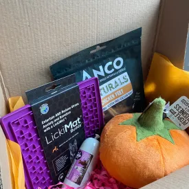 Halloween Goodie Box