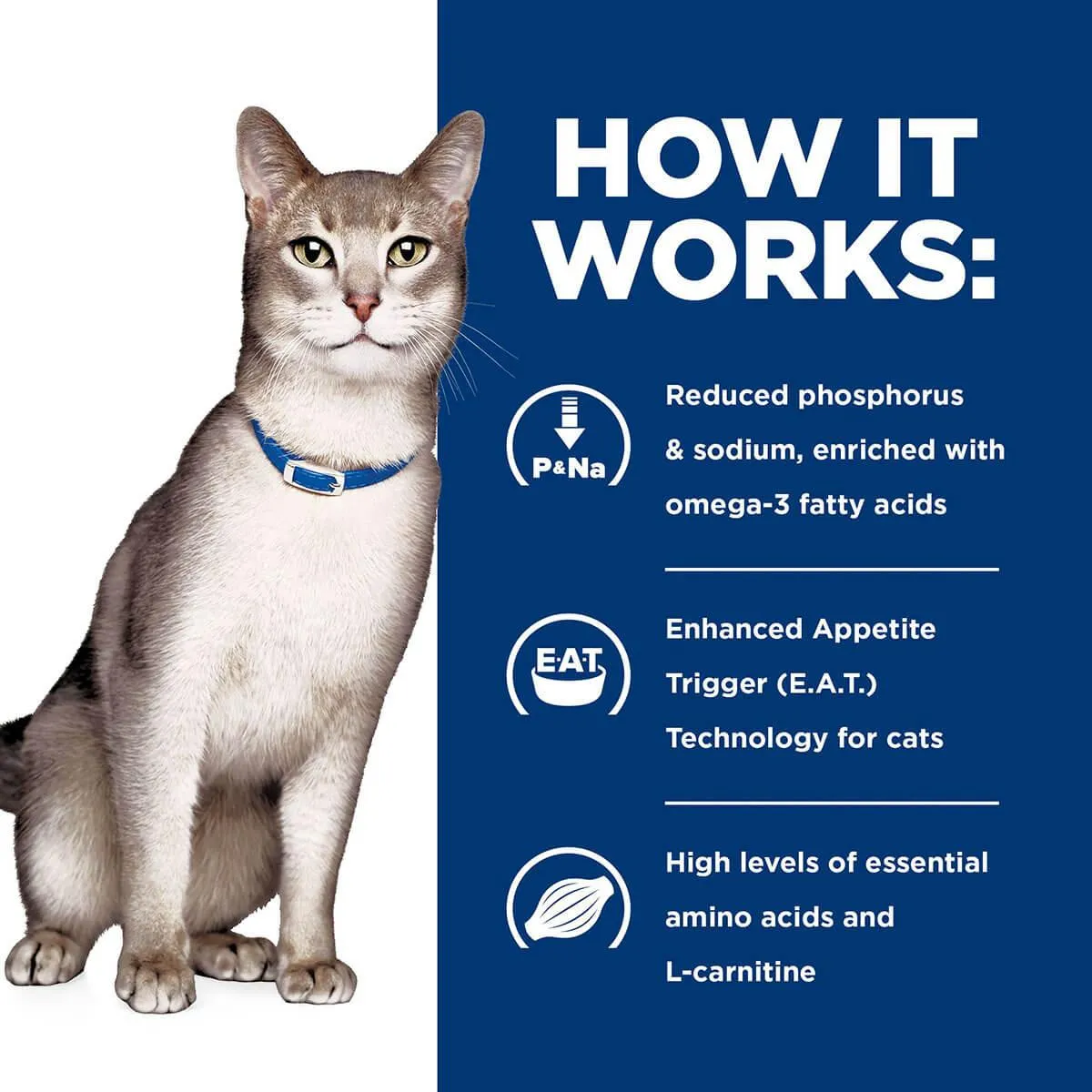 Hill's Prescription Diet K/D Kidney Care Dry & Wet Cat Food Bundle