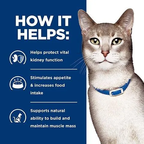 Hill's Prescription Diet K/D Kidney Care Dry & Wet Cat Food Bundle