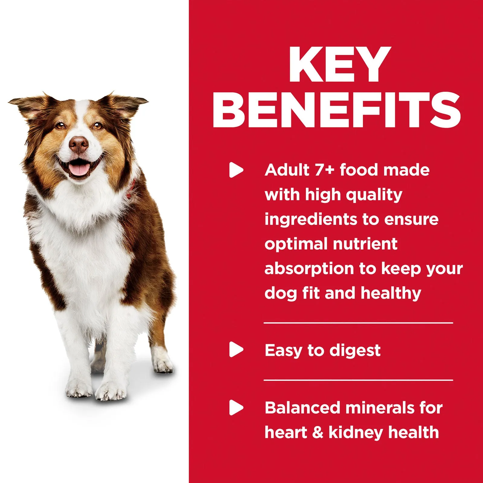 Hill's Science Diet Dog Food Can Adult 7  Chicken & Barley Entrée