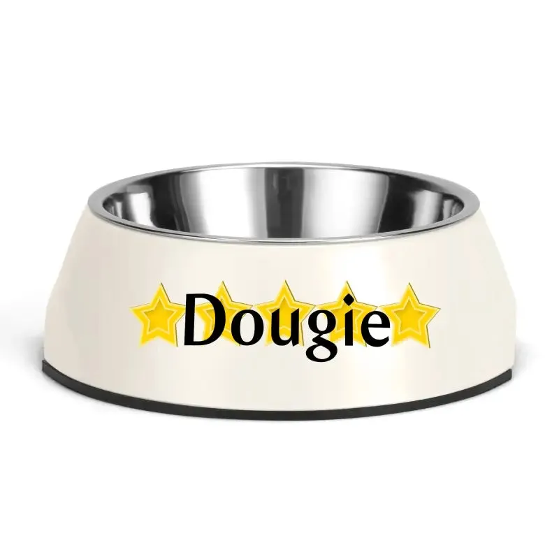 Iconic Pet Stainless Steel Bowl for Personalized Pet Meals