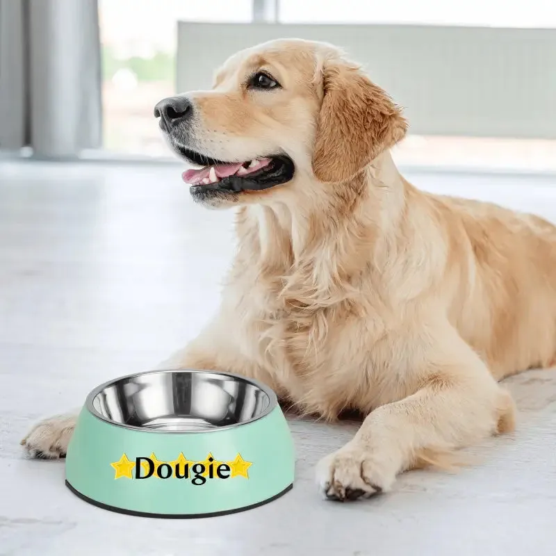 Iconic Pet Stainless Steel Bowl for Personalized Pet Meals