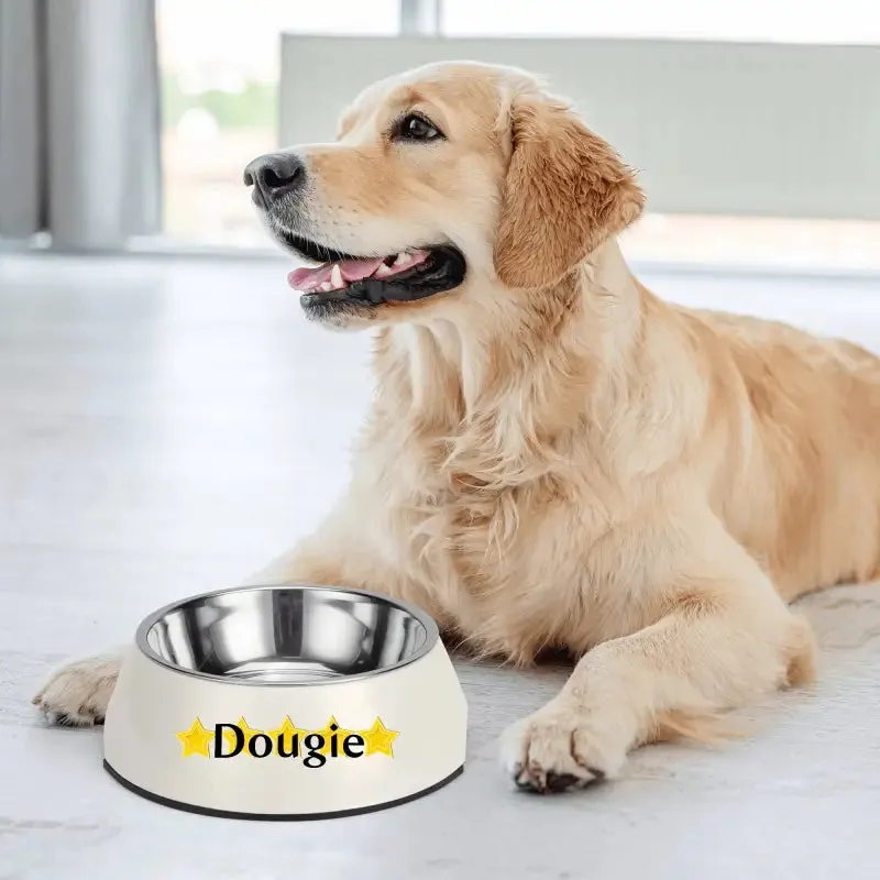 Iconic Pet Stainless Steel Bowl for Personalized Pet Meals