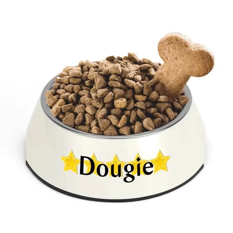 Iconic Pet Stainless Steel Bowl for Personalized Pet Meals