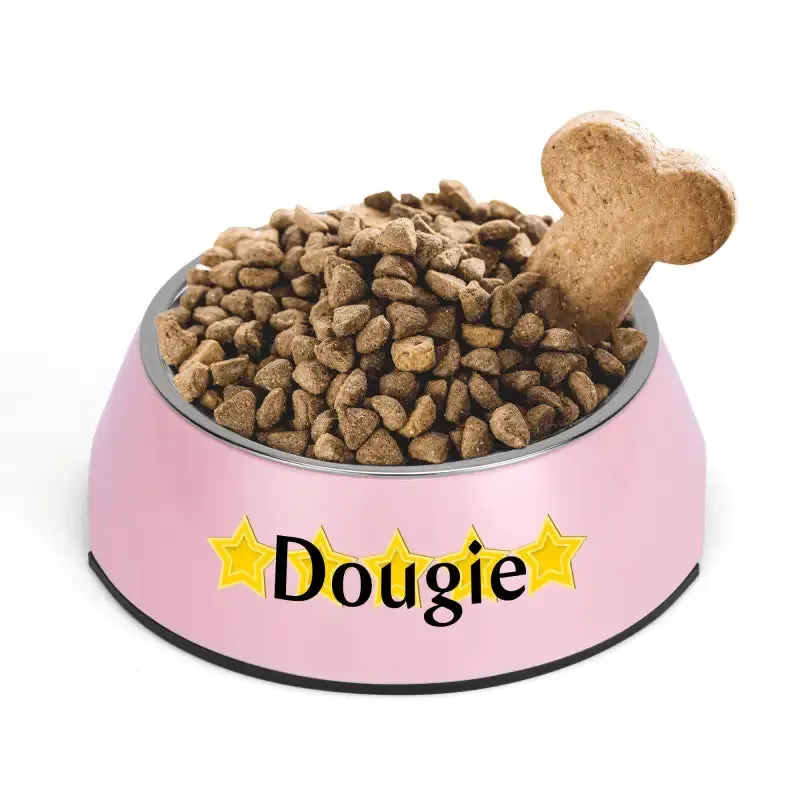 Iconic Pet Stainless Steel Bowl for Personalized Pet Meals