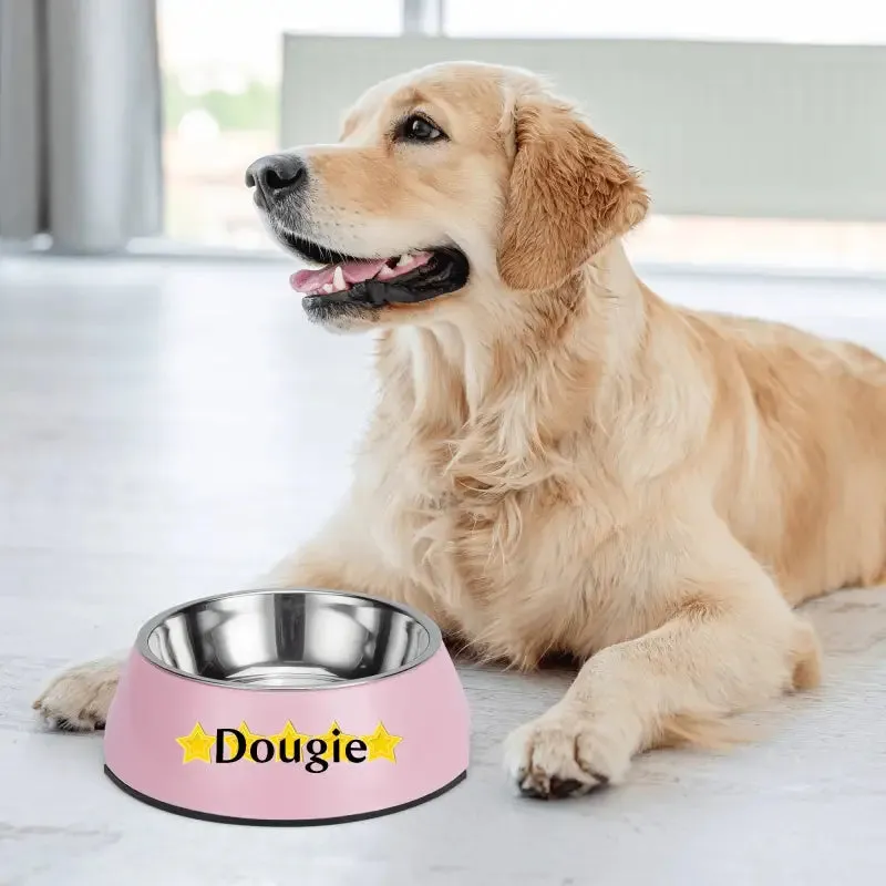Iconic Pet Stainless Steel Bowl for Personalized Pet Meals