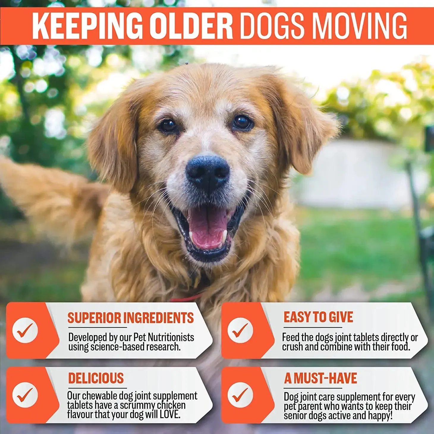 Joint & Hip Supplement For Senior Dogs (Date 11/2024)