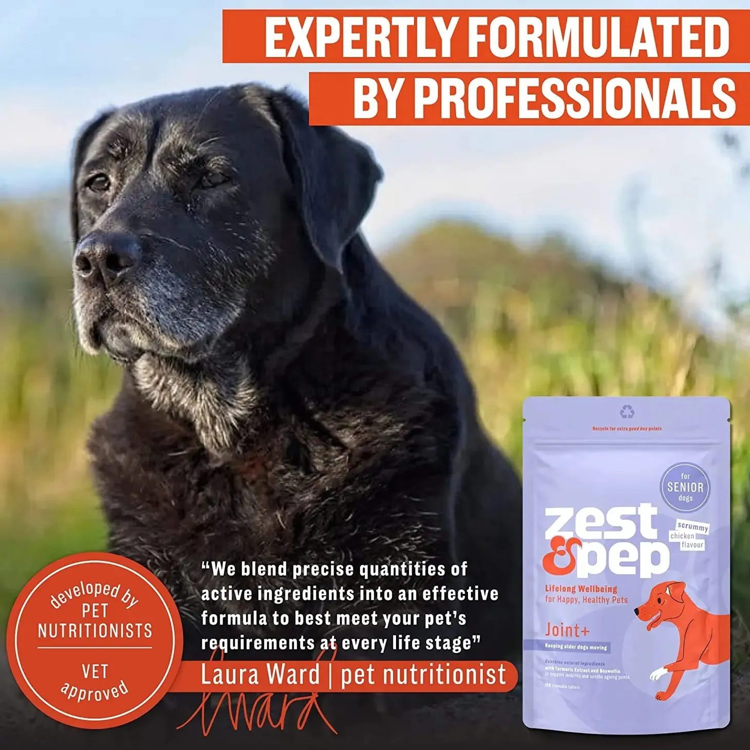 Joint & Hip Supplement For Senior Dogs (Date 11/2024)