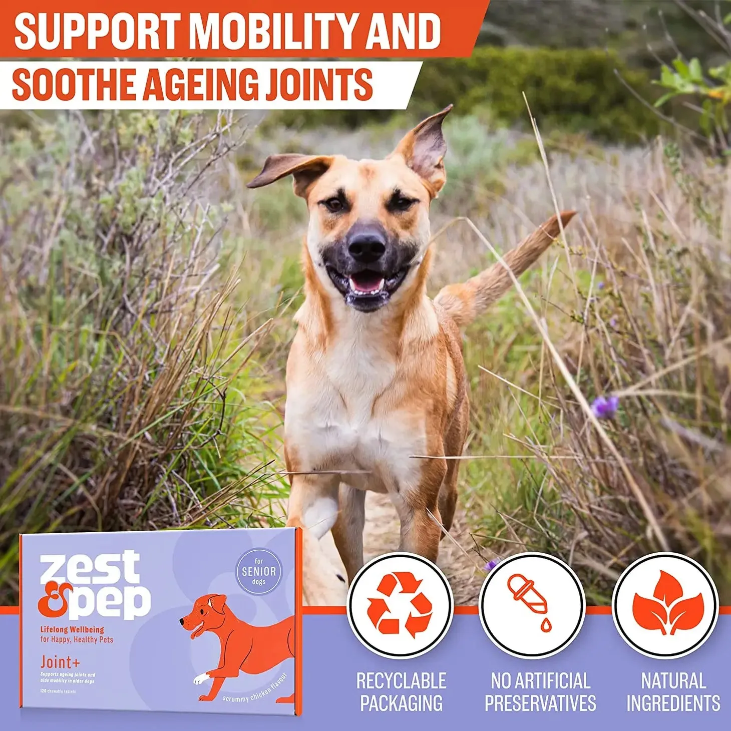 Joint & Hip Supplement For Senior Dogs (Date 11/2024)