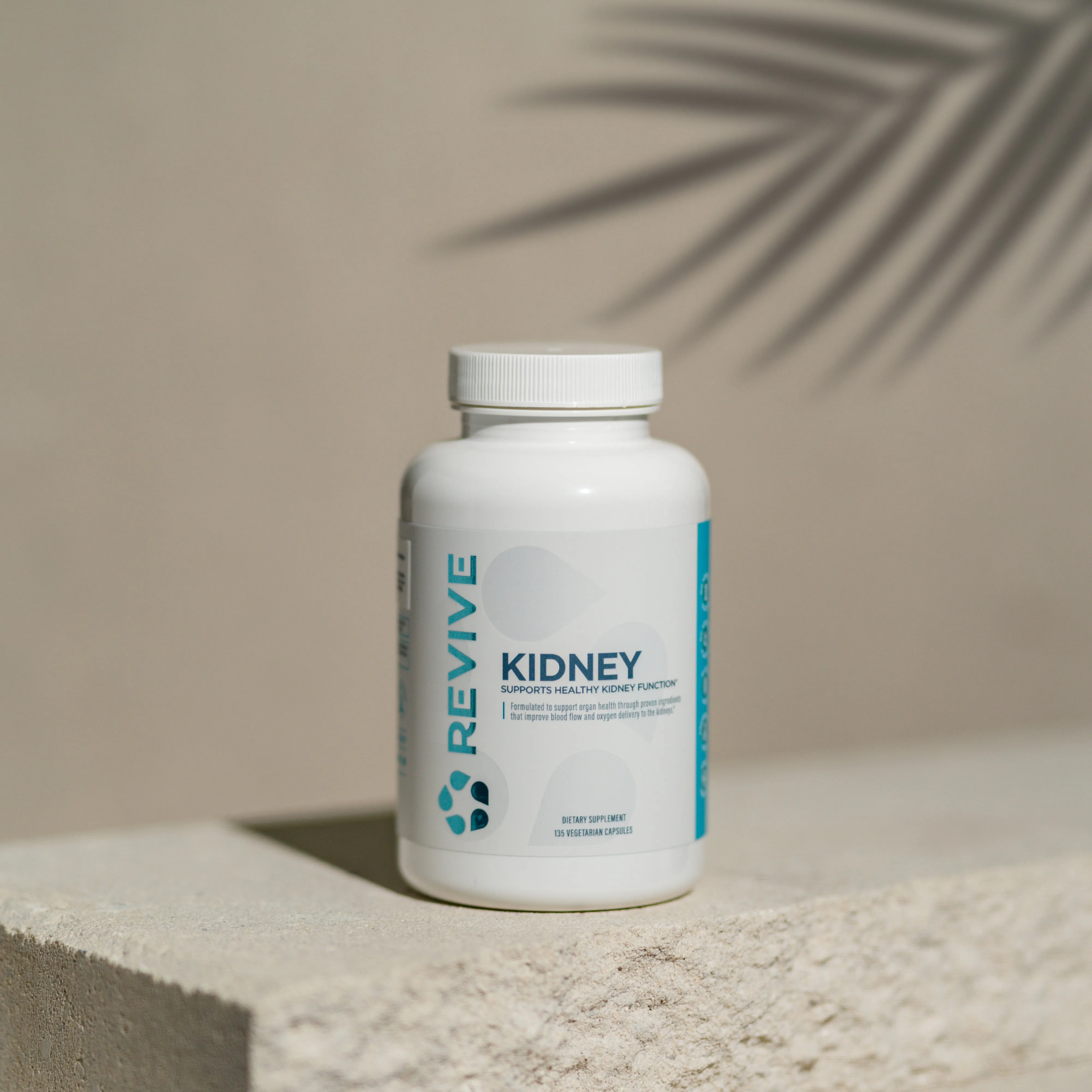 Kidney