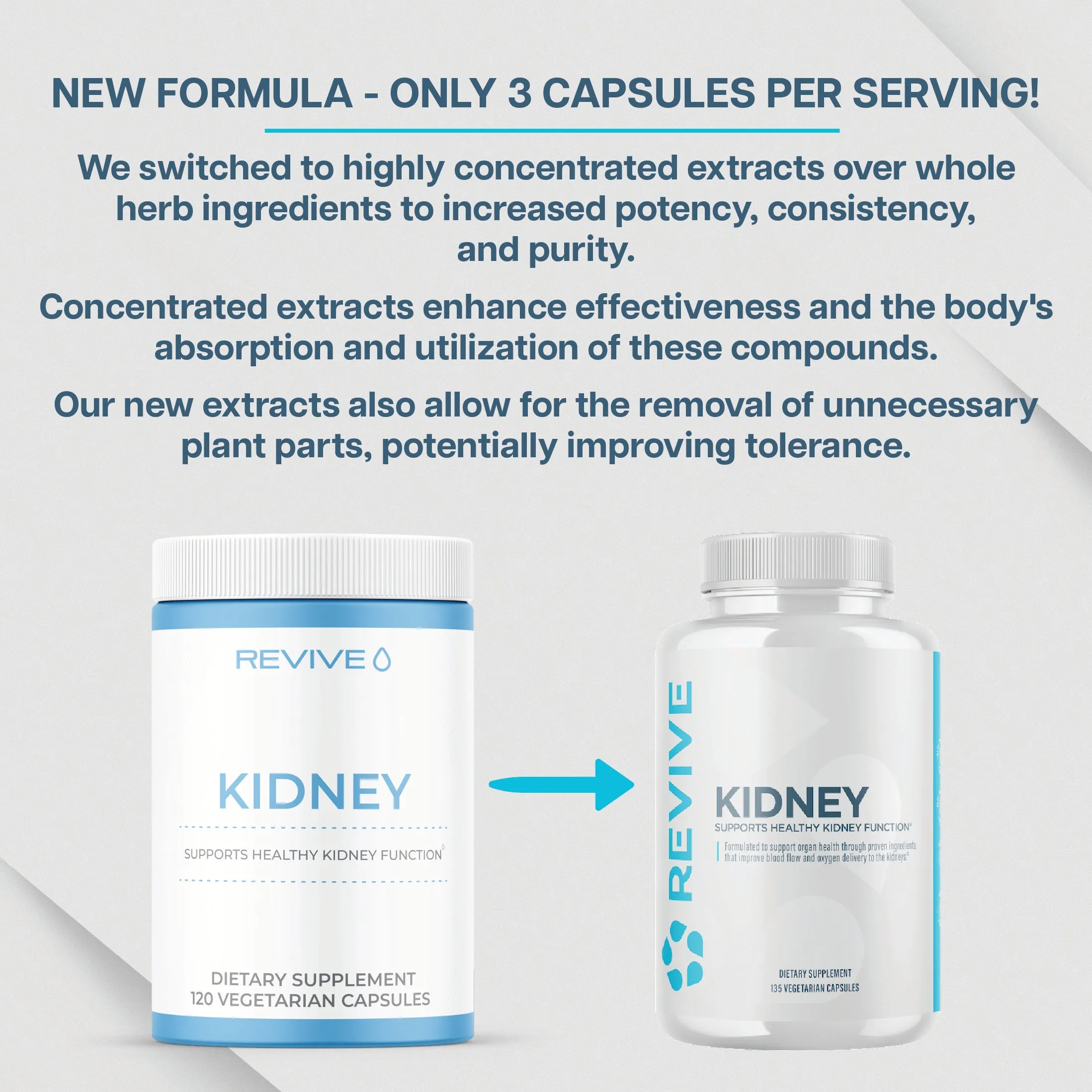 Kidney