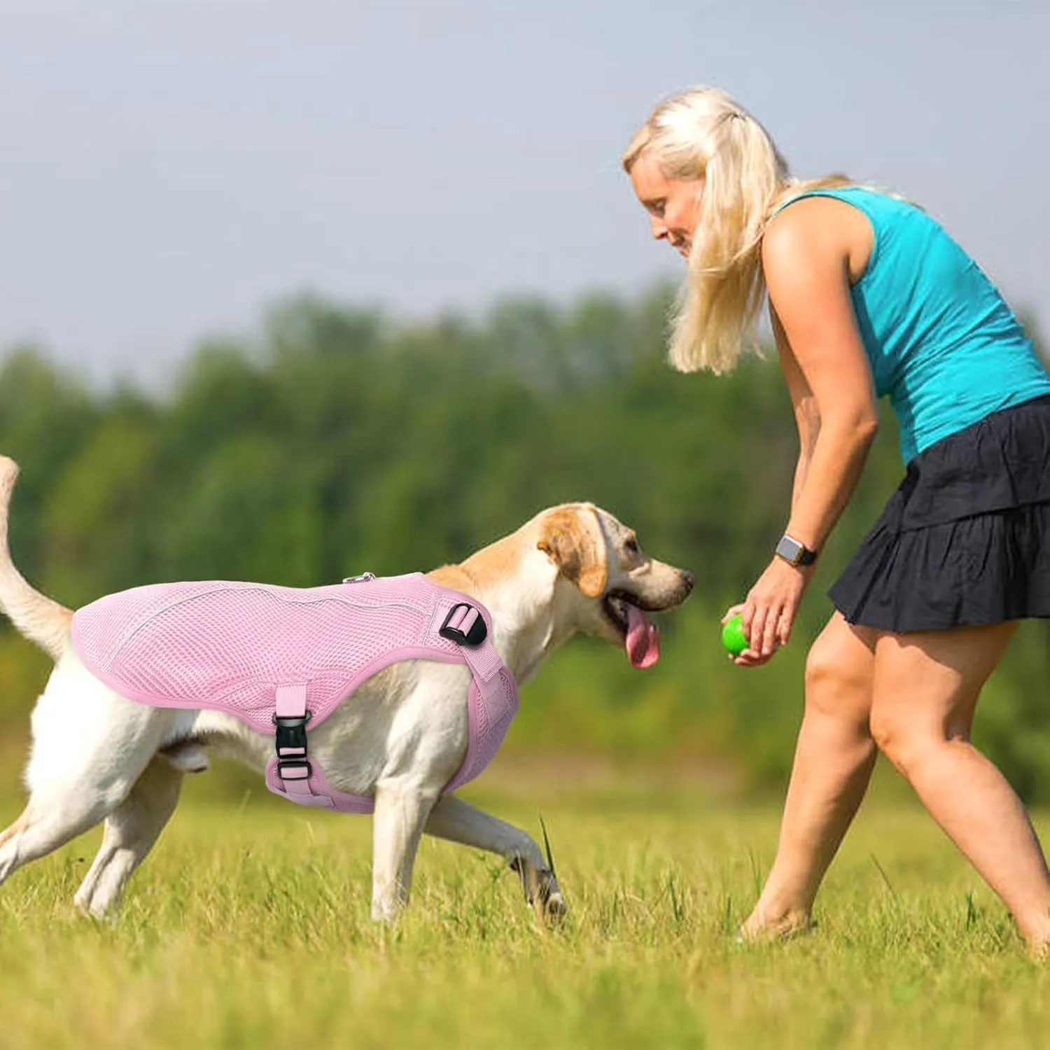Kuoser Cooling Vest for Large Dogs, Doggie Lightweight Cooler Jacket Breathable Shirts Reflective Pet Cooling Harness for Beach, Hiking, Walking Pink XXL