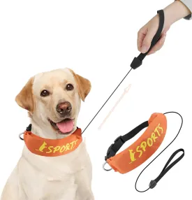 Lesypet 2 in 1 Retractable Dog Leash Collar, Hands-Free Dog Walking Collar with Retractable Leash for Medium Large Breed Dog Outdoor, Orange L