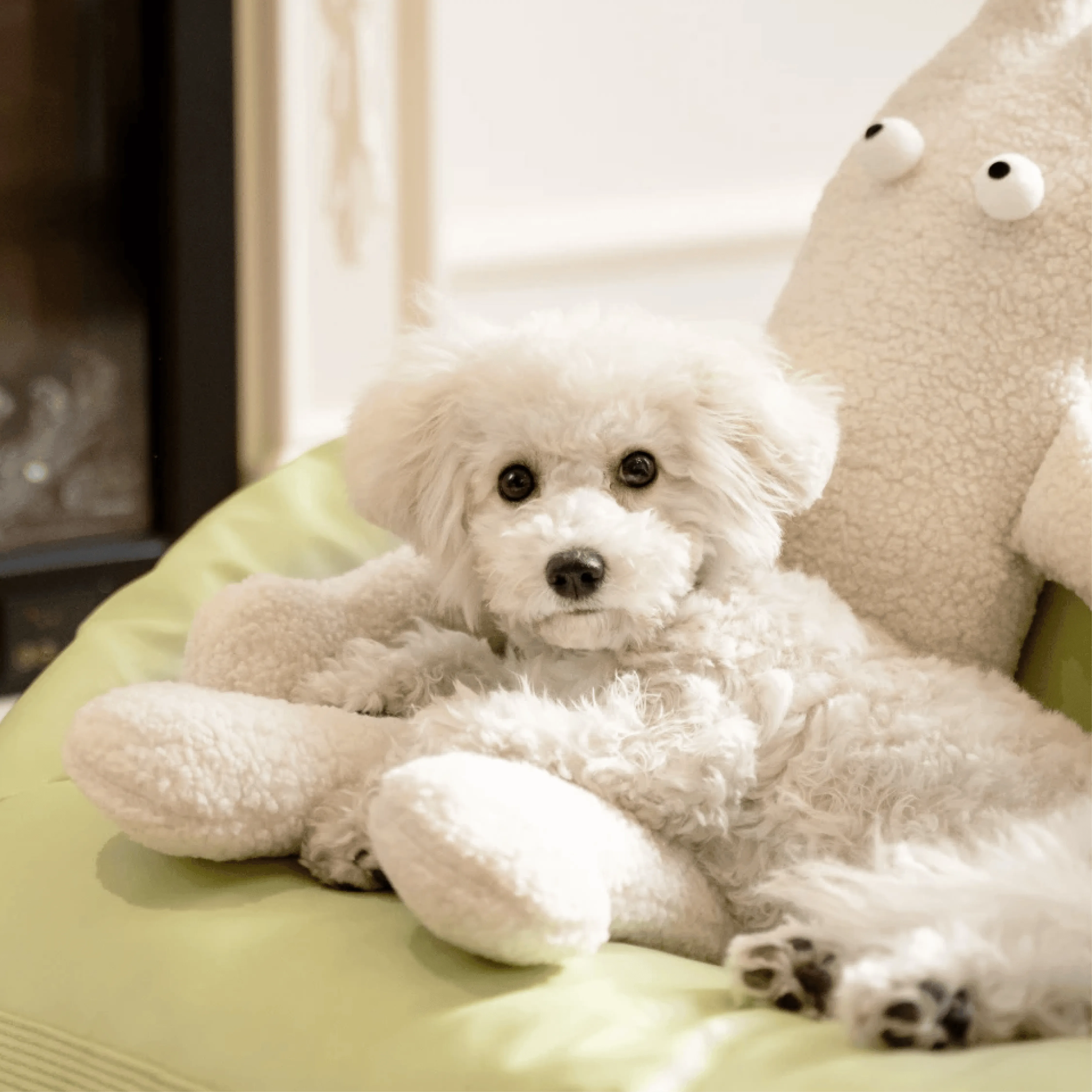 Mewoo - Bunny Buddy Bed
