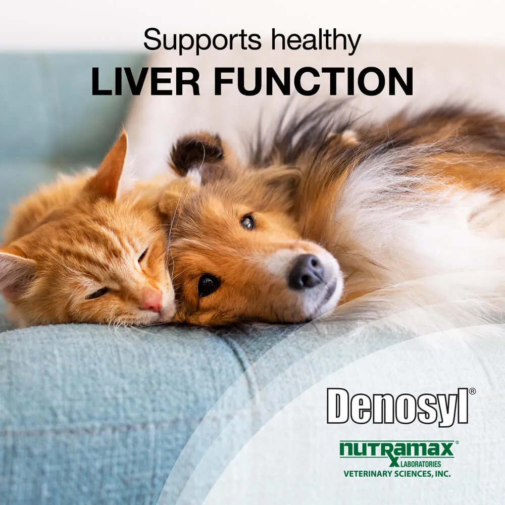 Nutramax Denosyl Liver and Brain Health Supplement