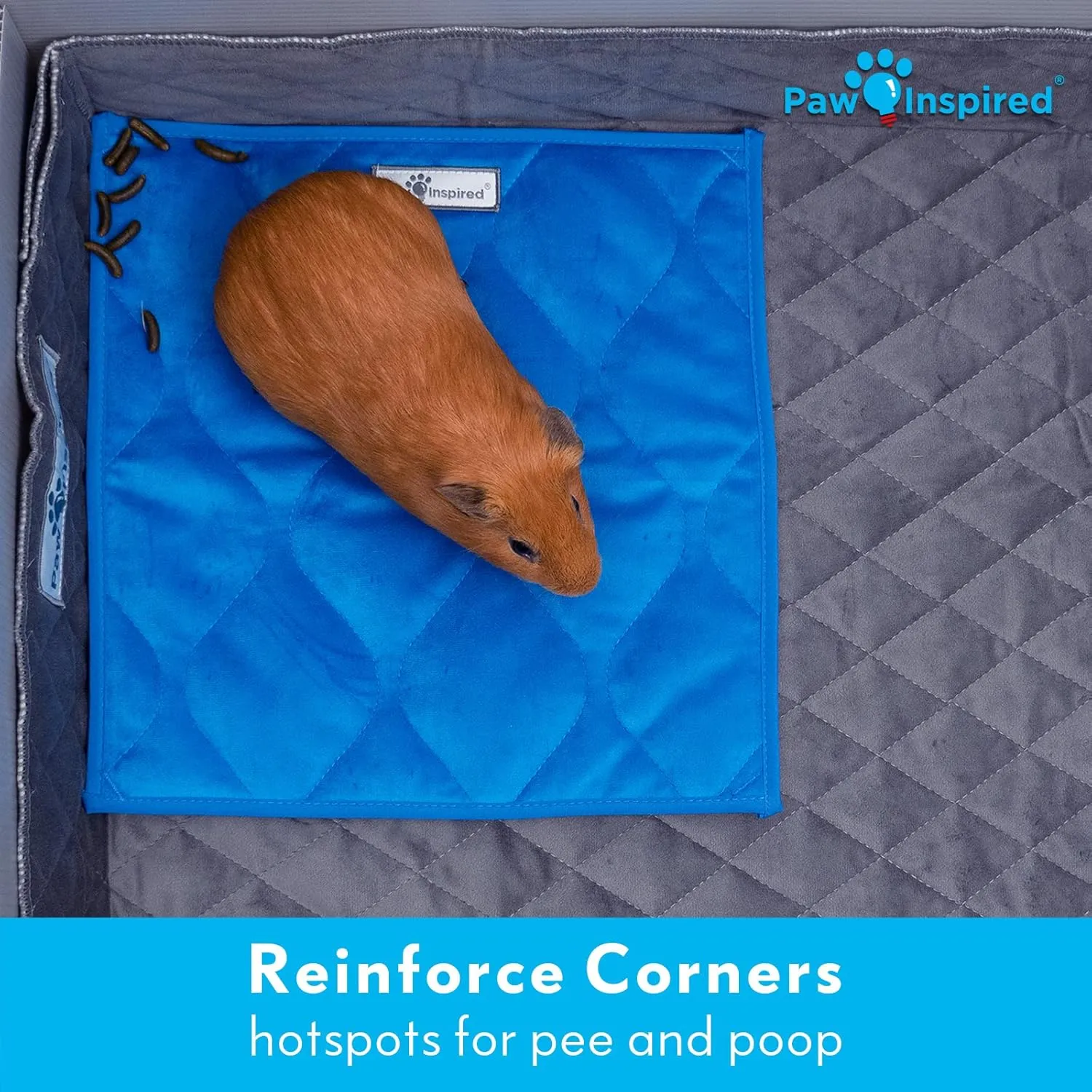Paw Inspired Guinea Pig Cage Liner Pads | Washable Fleece Bedding, Waterproof Bottom | Super Absorbent Pee Pad or Pet Bed Mat for Guinea Pigs, Ferrets, Rabbits, Hamsters, Small Animals (12"x12", Blue)