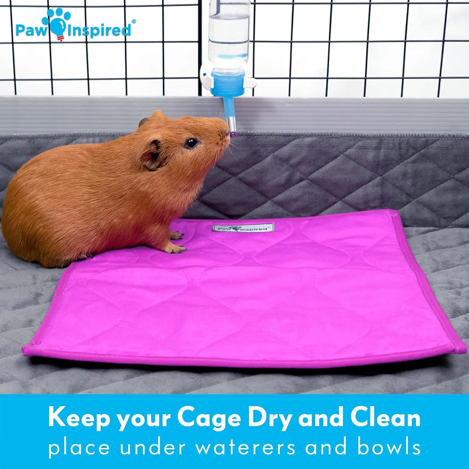 Paw Inspired Guinea Pig Cage Liner Pads | Washable Fleece Bedding, Waterproof Bottom | Super Absorbent Pee Pad or Pet Bed Mat for Guinea Pigs, Ferrets, Rabbits, Hamsters, Small Animals (12"x12", Blue)