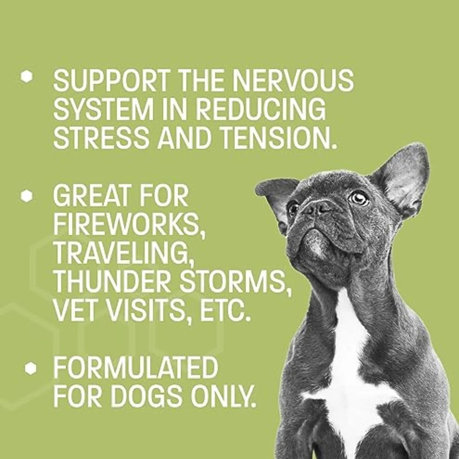 Pet Health Pros Dog Calming Treats; Anxiety Relief; Ginger, Melatonin; Stressful Situations; 60 Count; Natural Flavor