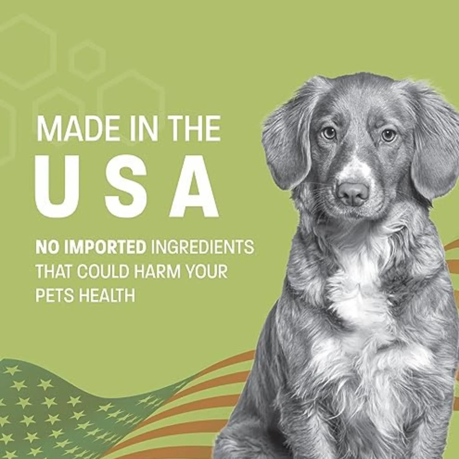 Pet Health Pros Dog Calming Treats; Anxiety Relief; Ginger, Melatonin; Stressful Situations; 60 Count; Natural Flavor