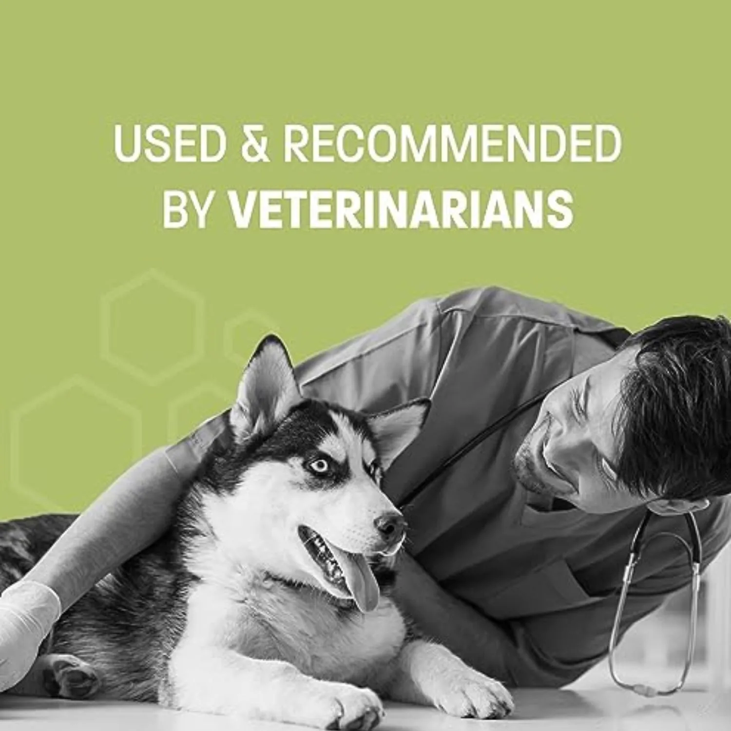 Pet Health Pros Dog Calming Treats; Anxiety Relief; Ginger, Melatonin; Stressful Situations; 60 Count; Natural Flavor