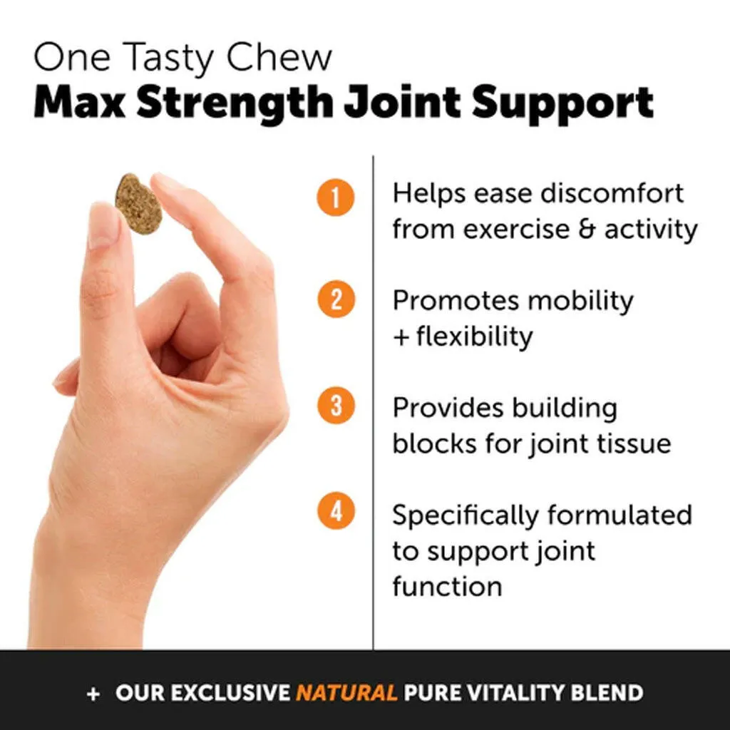 Pet Honesty Hip   Joint Health Max Strength Soft Chews for Dogs (90 ct)