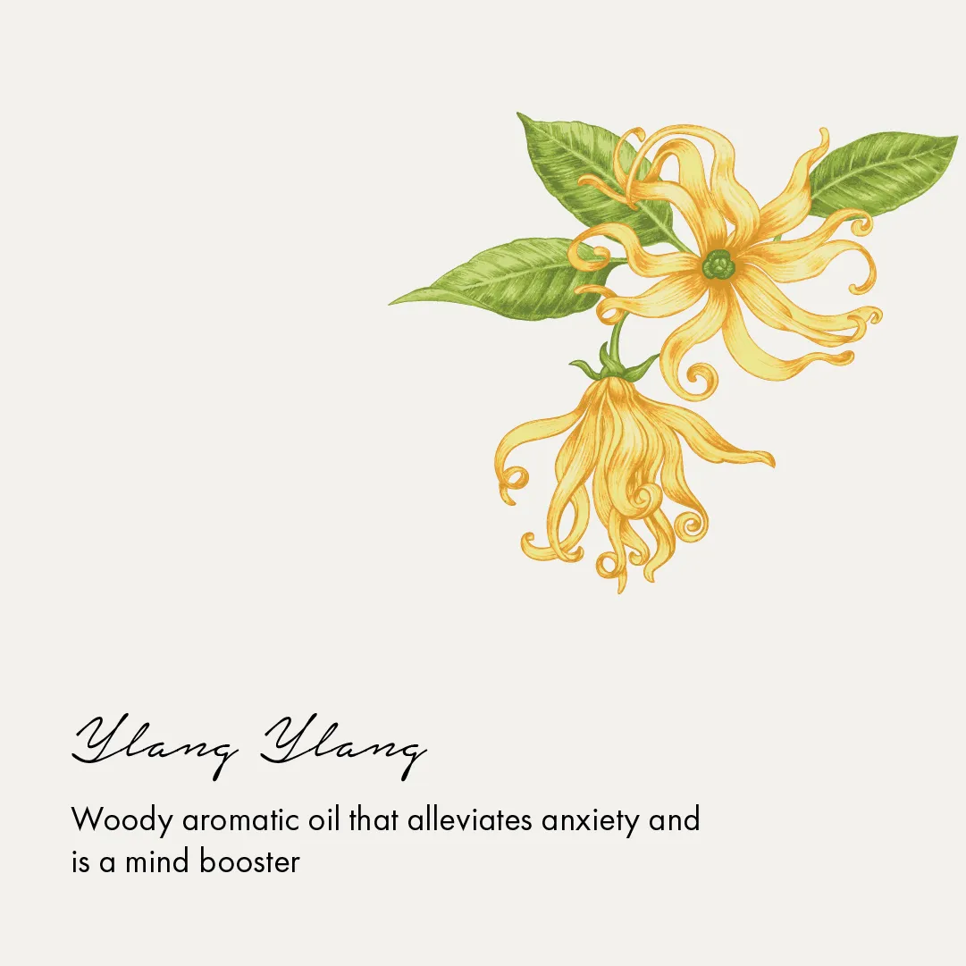 Relaxation Oil Blend - Stress Relief Oil
