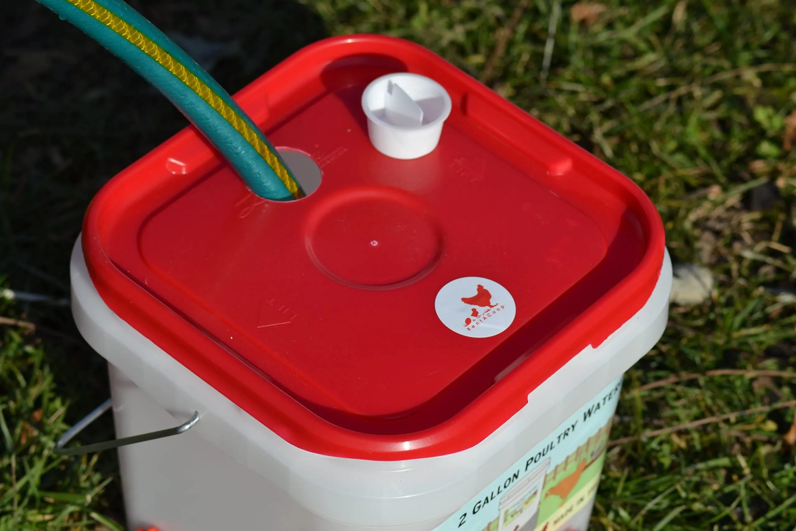 RentACoop 2 Gallon Chicken BPA-Free Plastic Bucket Waterer Set with 4 Horizontal Nipples - Corner Placement