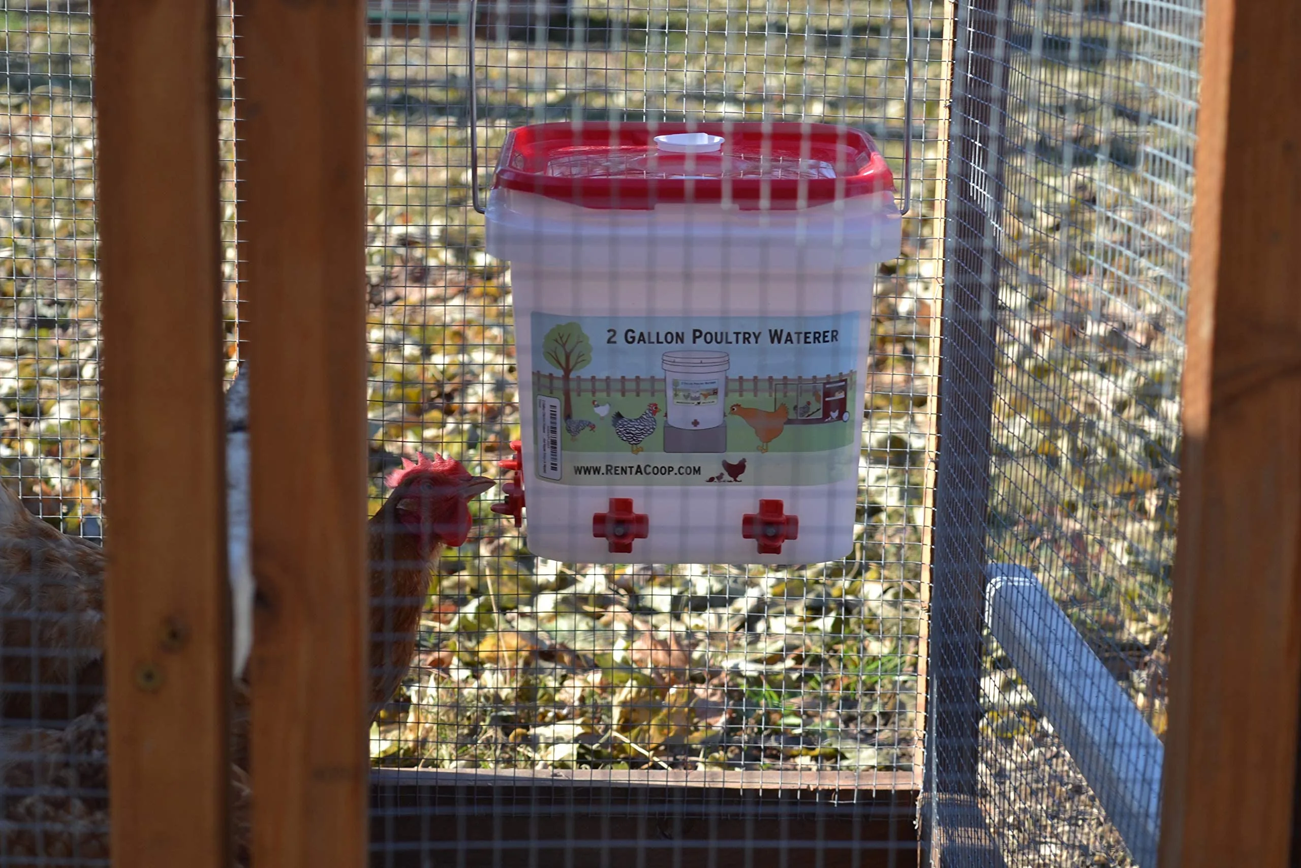 RentACoop 2 Gallon Chicken BPA-Free Plastic Bucket Waterer Set with 4 Horizontal Nipples - Corner Placement