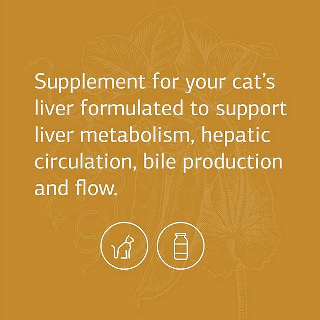 Standard Process Feline Hepatic Support (90 tablets)