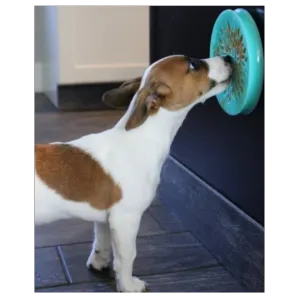 Tall Tails 6" Lickable Suction Cup Reward Pet Dish for Dogs & Cats