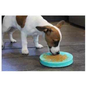 Tall Tails 6" Lickable Suction Cup Reward Pet Dish for Dogs & Cats