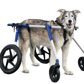 Walkin’ Wheels Full Support/4-Wheel Quad Wheelchair, LARGE