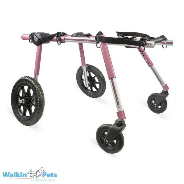 Walkin’ Wheels Full Support/4-Wheel Quad Wheelchair, LARGE