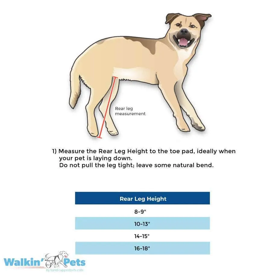 Walkin Wheels® MEDIUM Rear Dog Wheelchair