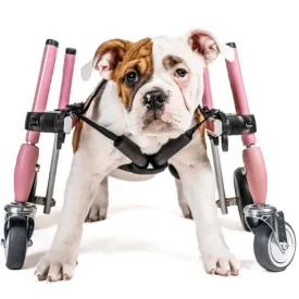 Walkin’ Wheels SMALL Front Wheel Attachment
