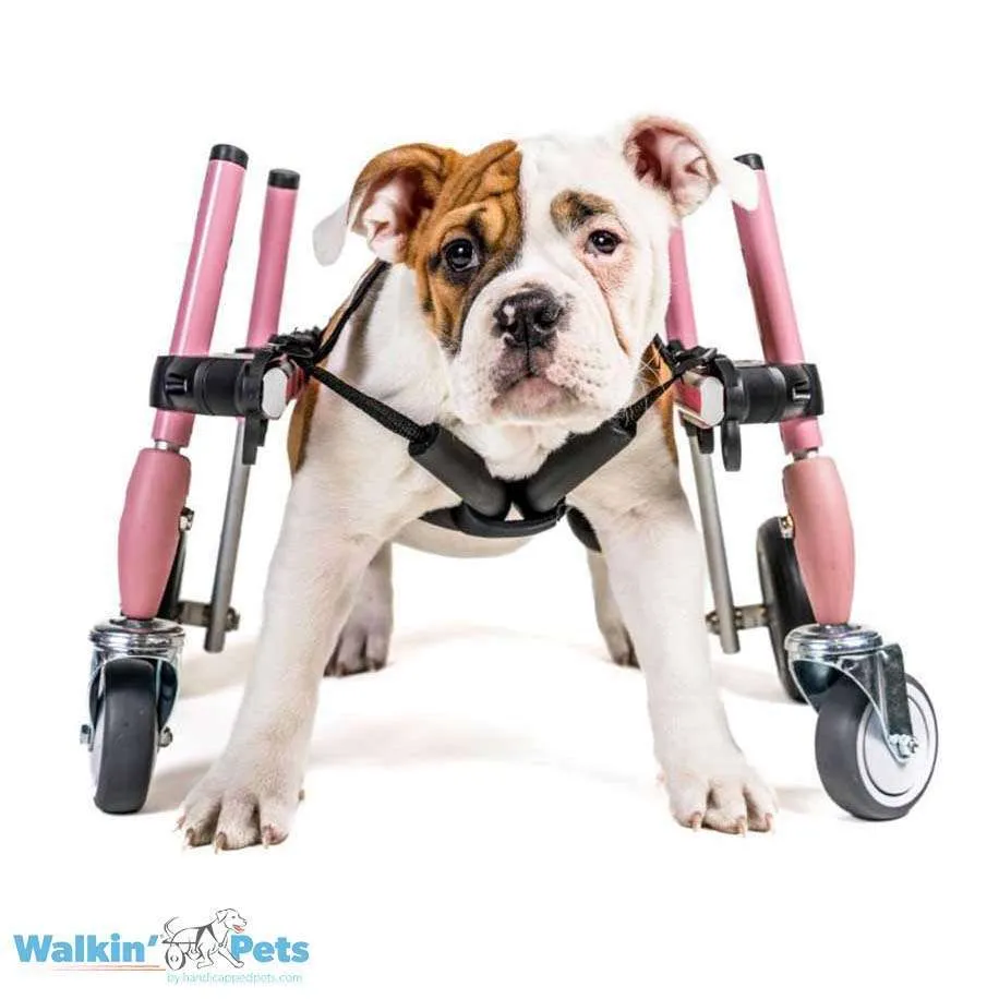Walkin Wheels® SMALL Front Wheels Attachment
